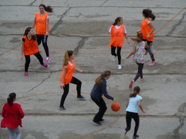 p1090682.jpg