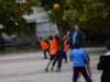 p1090779_small.jpg